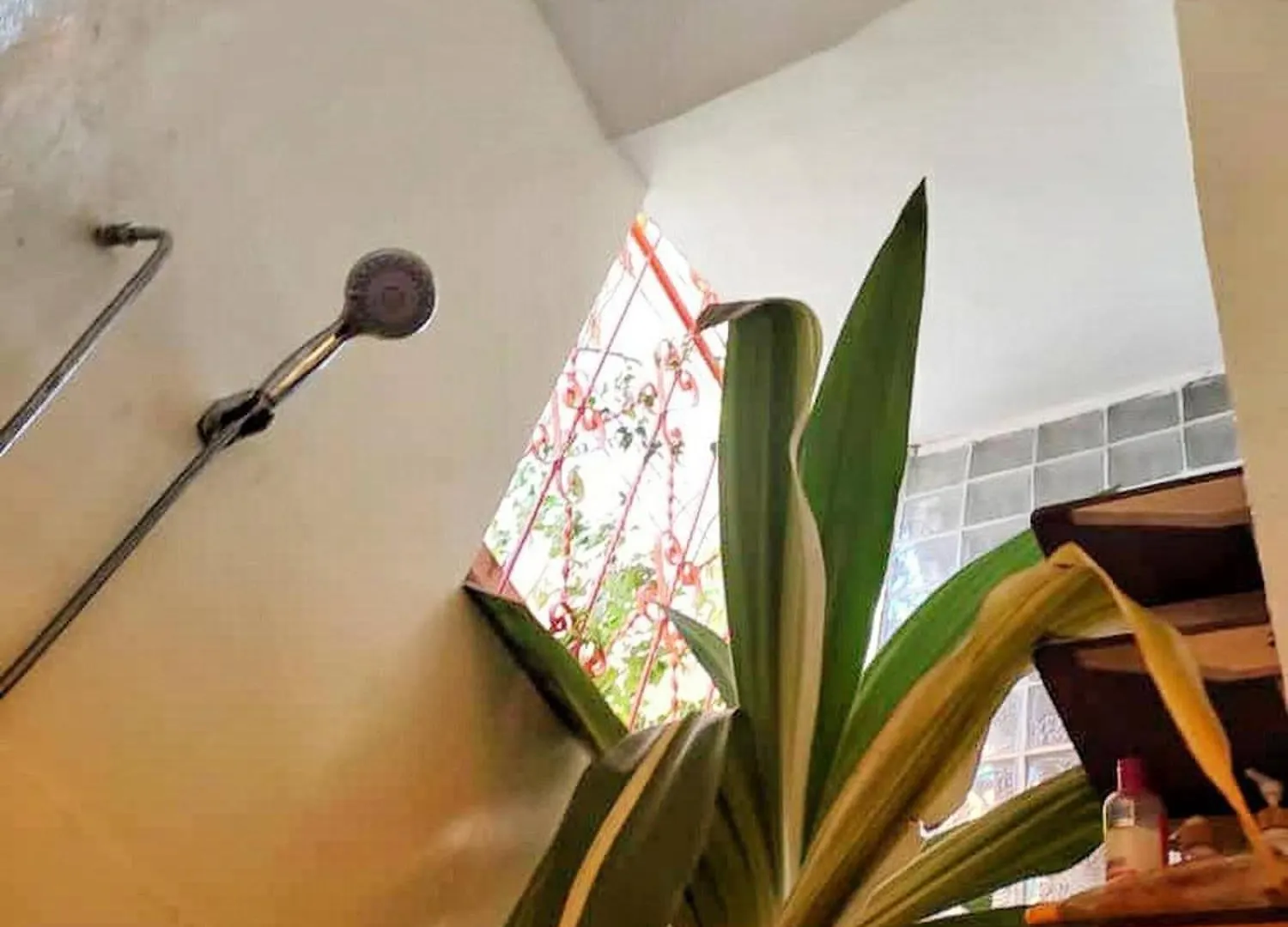 Escape Into The Wild Apartment Dakar