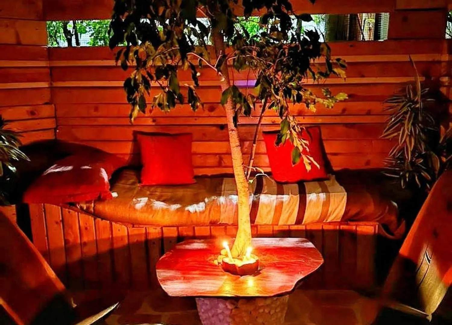 Escape Into The Wild Apartment Dakar