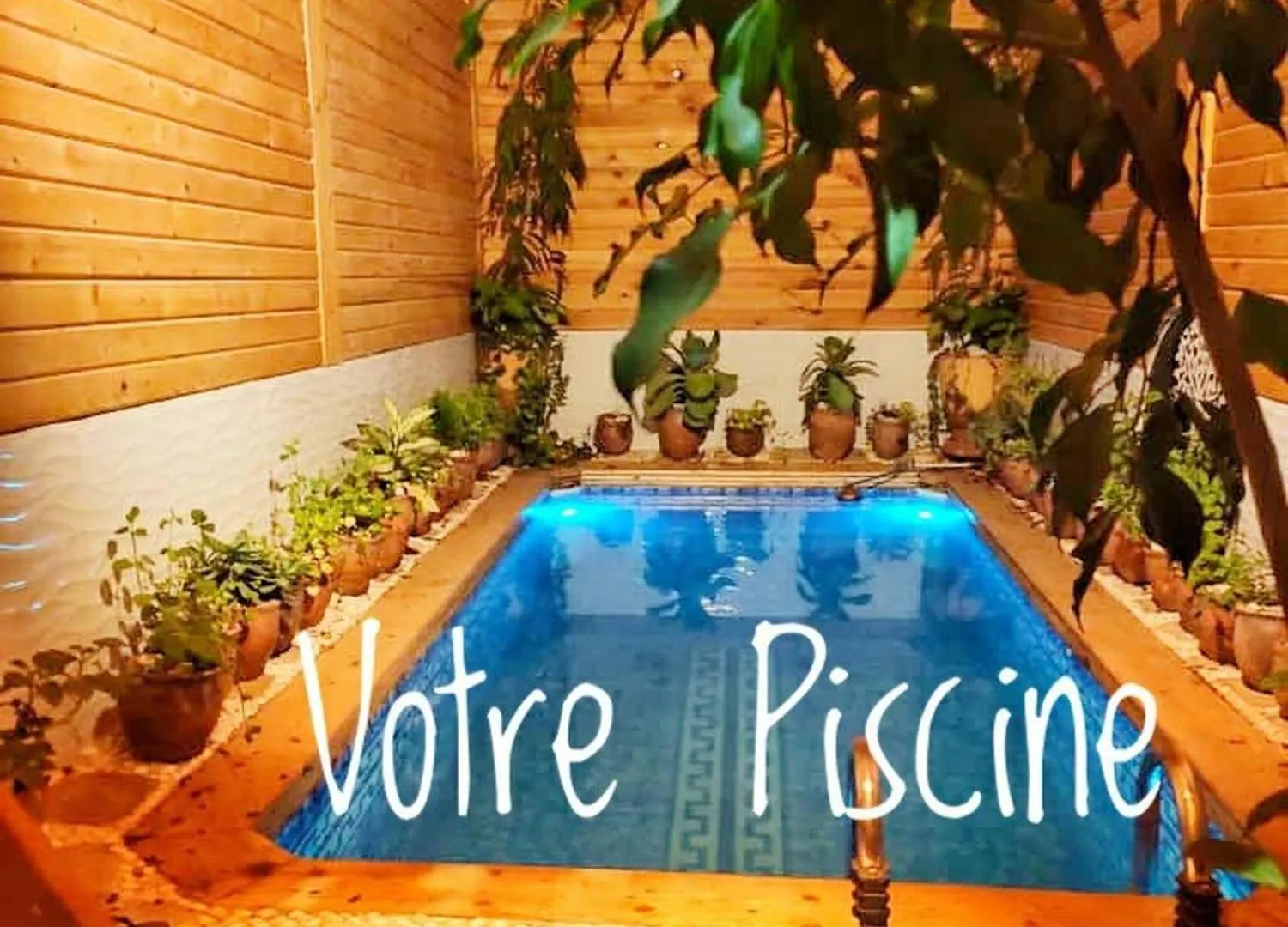 Escape Into The Wild Apartment Dakar