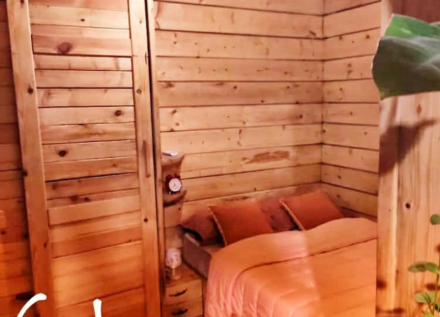 Escape Into The Wild Apartment Dakar