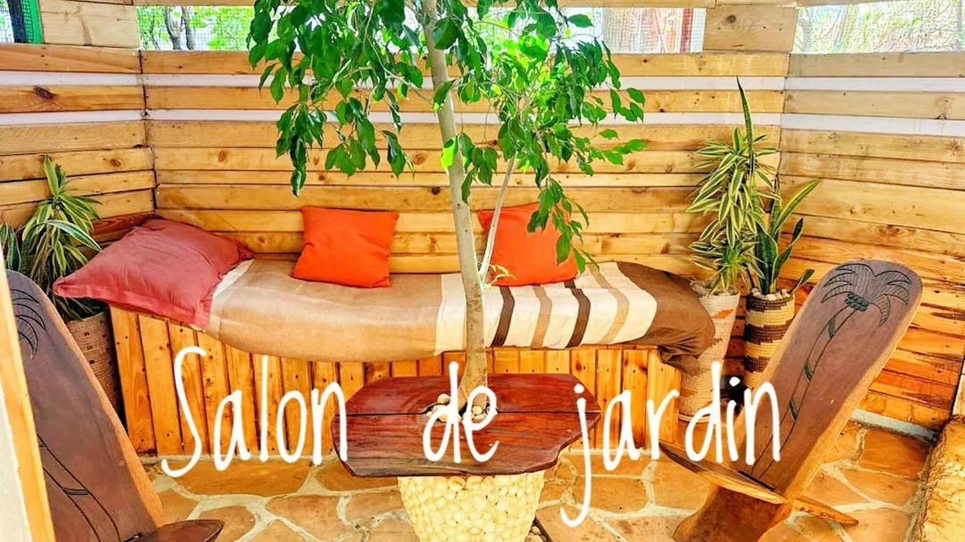 Escape Into The Wild Apartment Dakar Senegal