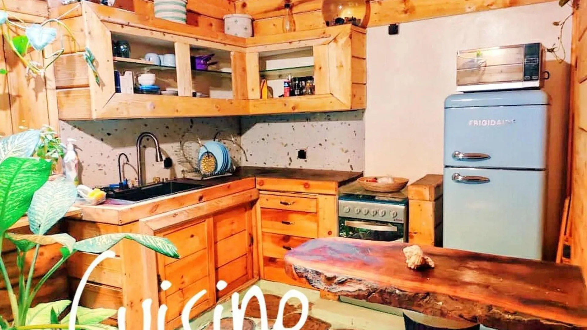 Escape Into The Wild Apartamento Dakar